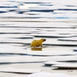 Luasan Es Laut di Kutub Bumi Mencapai Rekor Terendah, Ilmuwan Ungkap Kenaikan Suhu Global Sebagai Penyebabnya