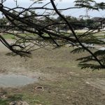 Puncak Fenomena Iklim El Nino dan IOD: Indonesia Terancam Kekeringan, BMKG Keluarkan Peringatan