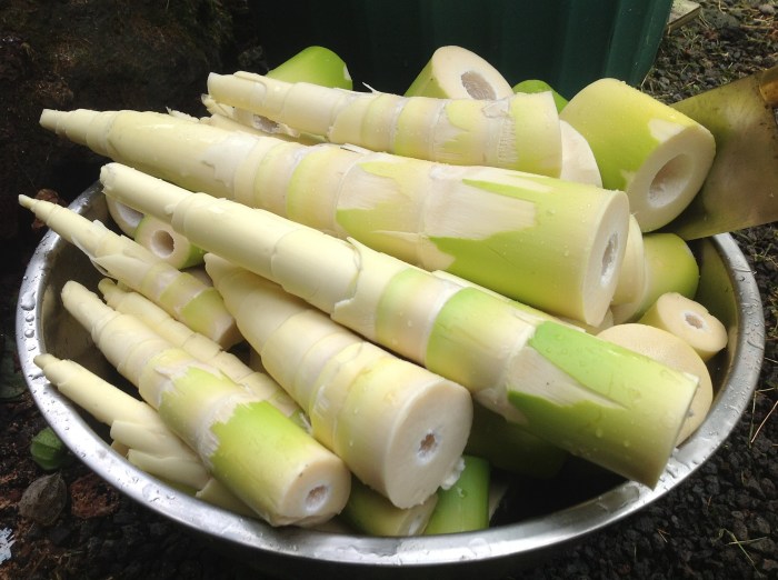 Resep Sayur Rebung, Sajian Lezat dan Bergizi dari Tunas Bambu
