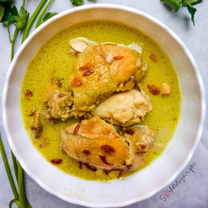 Resep Opor Ayam, Hidangan Istimewa untuk Berbagai Acara